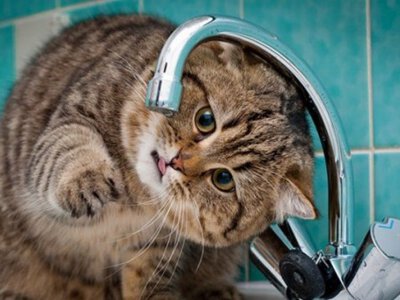 Ряду одеситів по дорозі додому варто запастись водою