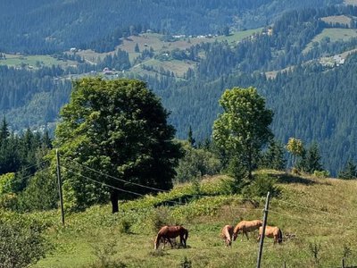 Названо п’ять українських сіл, які претендують на світове визнання