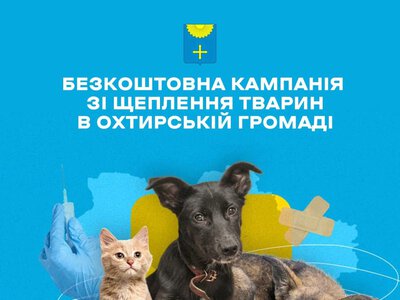 В Охтирці вакцинують тварин проти сказу