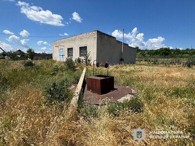 На Миколаївщині діти кидали кота в колодязь та знімали на відео: поліція відкрила кримінальне провадження