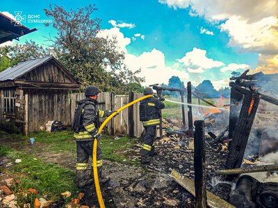 Рятувальники ліквідували пожежу в господарстві на Шосткинщині
