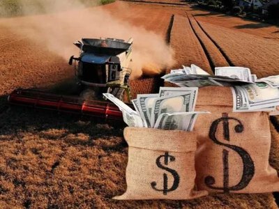 Вартість землі в Україні зросла на 13%: актуальні дані