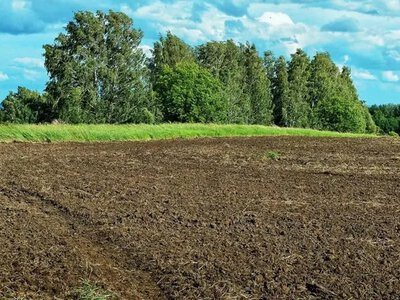 Держава може вилучити землю: коли це законно
