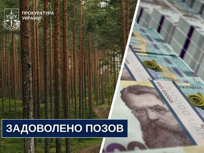 За незаконну вирубку 119 сосен на Рівненщині лісокористувач відшкодує майже мільйон гривень