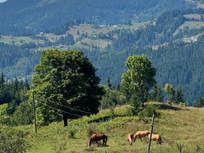 П'ять українських сіл, які претендують на світове визнання