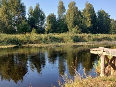 Поблизу села Яревище розорали 4 гектари прибережної захисної смуги річки Припʼять