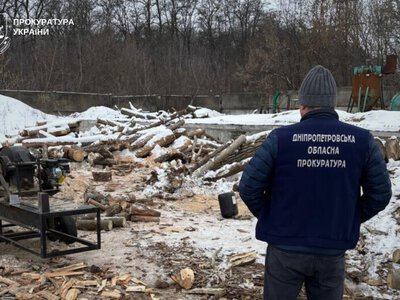 На Дніпропетровщині судитимуть трьох чоловіків за незаконну вирубку лісу на майже 2 млн грн