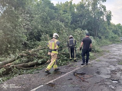 На Буковині за добу евакуювали трьох людей з пожежі та ліквідовували наслідки негоди