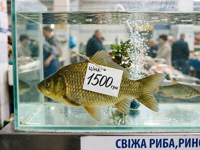 Як вам карась за півтори тисячі?