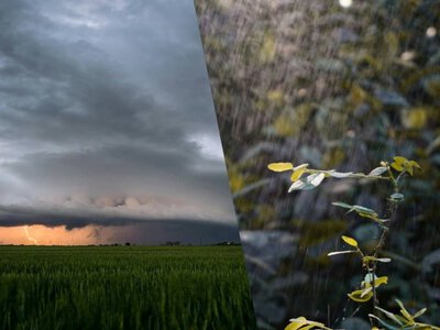 Коли почне теплішати в Україні, і чи припиняться дощі: яку погоду принесе наступний тиждень