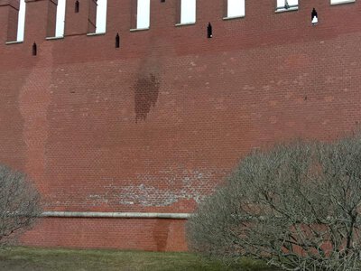 Кремль отримав удар зсередини: у Держдумі жорстко розкритикували політику Путіна