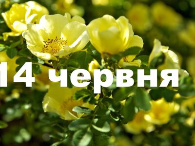 Сьогодні не варто лінуватися і не можна вживати алкоголь: традиції та прикмети 14 червня