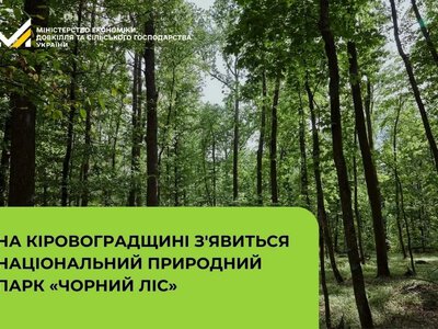 На Кіровоградщині з’явиться національний природний парк «Чорний Ліс»