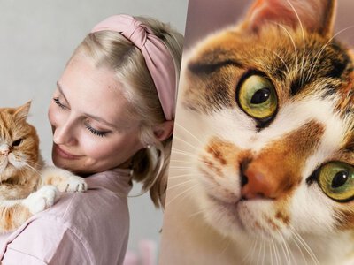 Від Степана Пантери до Ірини Білик: мережу розсмішили імена котів, які ламають систему
