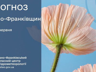 Дощі, грози та шквалистий вітер: синоптики дали прогноз погоди на Прикарпатті на 15 червня