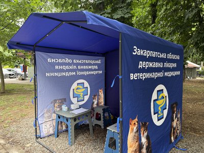Безкоштовна вакцинація тварин проти сказу в Ужгороді: як містяни відреагували на акцію ветеринарів