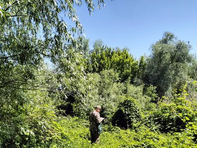 Науковці КНУ готують обґрунтування для розширення Нижньодністровського нацпарку