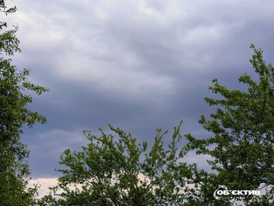 Шквал, град, гроза. 15 червня у Харкові й області вируватиме небезпечна погода