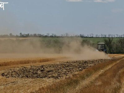 Аграрії на Херсонщині скаржаться на дефіцит пального перед жнивами