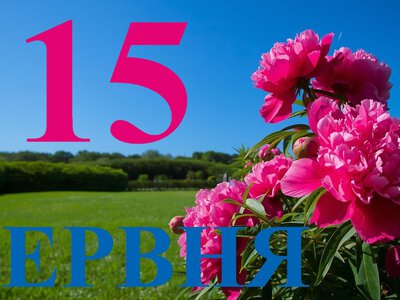 Сьогодні 15 червня 2026: яке свято та день в історії