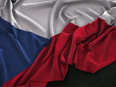Позбавити українців тимчасового захисту хочуть в одній із країн ЄС: що відомо 