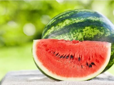 Херсонські кавуни: коли чекати перший урожай?