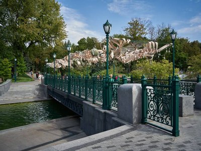 У саду Шевченка закрили пішохідний місток: причина і чи надовго