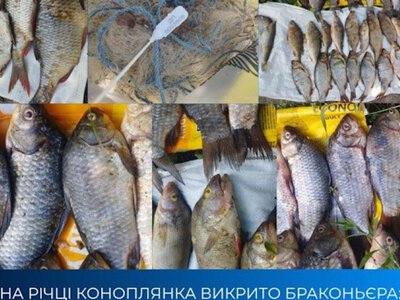 На Дніпропетровщині браконьєр наловив риби на понад 82 тисячі гривень збитків