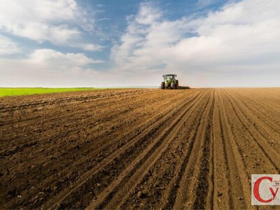 Весняна посівна на Житомирщині завершена у визначені строки