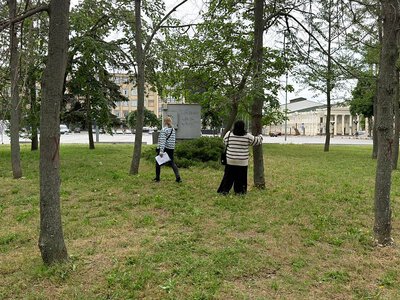Комісія обстежила Флотський бульвар у Миколаєві: частину дерев визнано аварійними - їх знесуть