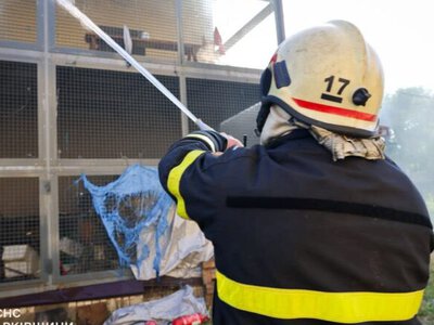 росіяни вдарили по зоопарку в Харкові: декілька тварин загинули