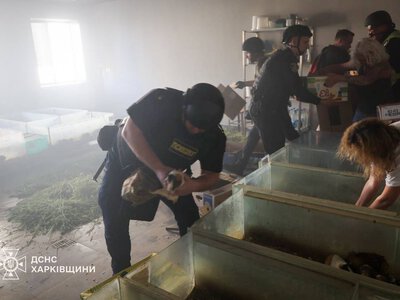 Обстріл Харкова: зафіксовано удар безпілотника по території зоопарку