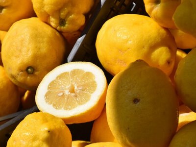У Києві стартують сільськогосподарські ярмарки: де купити свіжі продукти 16–21 червня