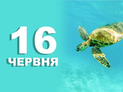 Сьогодні заборонено укладати угоди: традиції та прикмети 16 червня