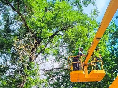 Комунальники Херсона прибрали місто попри обстріли та атаки дронів