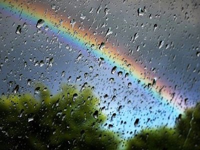 Прохолодна погода затримається: прогноз для Черкащини до кінця тижня