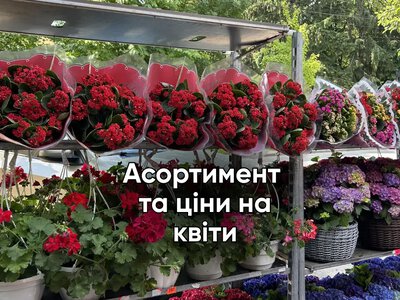 Квітковий рай у центрі Хмельницького: що обрати для саду та дому цього сезону (ФОТО, ВІДЕО)
