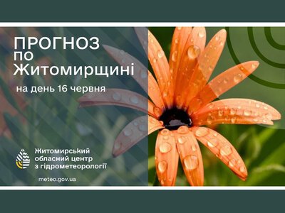 Сьогодні погода на Житомирщині