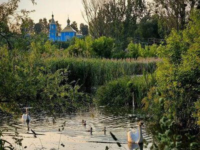 У мережі опублікували чарівні фото Баївського джерела (Фото)