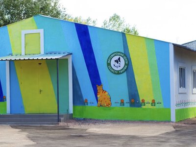 Понад 5 мільйонів на чотирилапих: звідки бере гроші та на що витрачає їх житомирський Центр захисту тварин