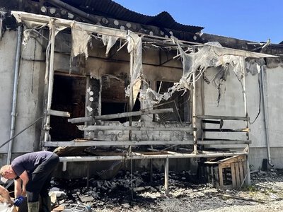 Нові кредити для бізнесу: програма «5-7-9» розширюється
