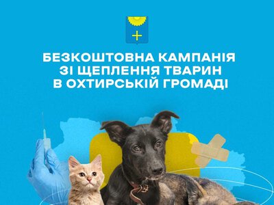 У четвер в Охтирці вакцинуватимуть котів і собак проти сказу
