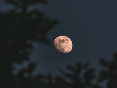 17 червня Місяць закриє Венеру: де і коли спостерігати рідкісне небесне шоу