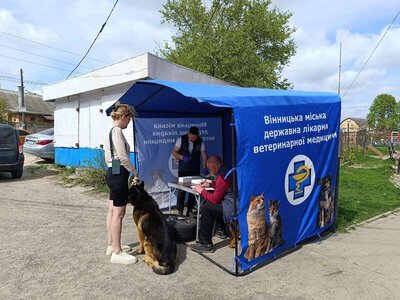 Щеплення від сказу у Вінниці отримали понад 3400 тварин