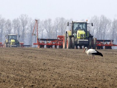 Урожай-2026: загальна площа посівів на Житомирщині сягнула 1,1 млн гектарів