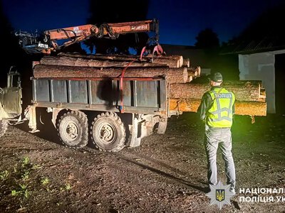 На Рівненщині зупинили дві партії деревини без документів