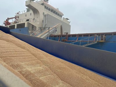  Агрохолдинг Agromino планує продати зерновий термінал і склади в порту Чорноморськ 