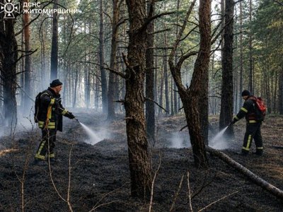 На Житомирщині ліквідували масштабну лісову пожежу, що виникла внаслідок російських атак