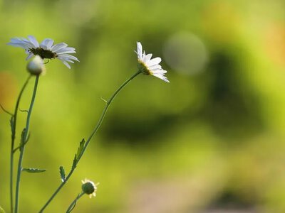 Сонце чи гроза? Синоптики здивували прогнозом погоди на 17 червня 