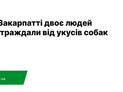  На Закарпатті двоє людей постраждали від укусів собак 
